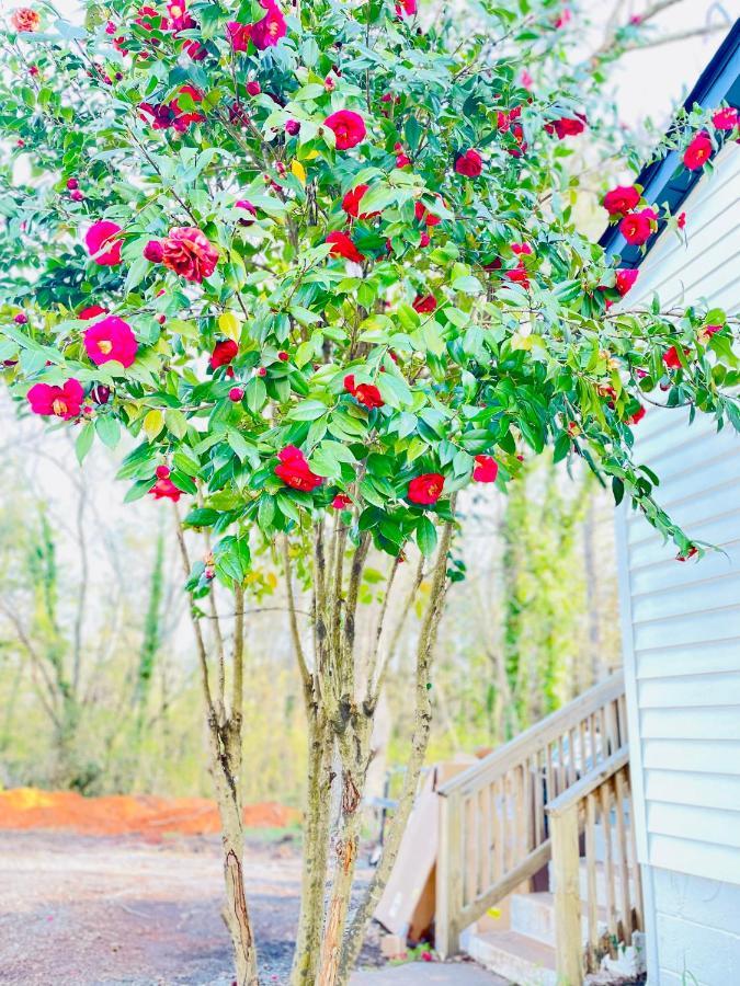 Bountyland Cottage - Lake Keowee - Mountains - Clemson University Seneca Exterior photo